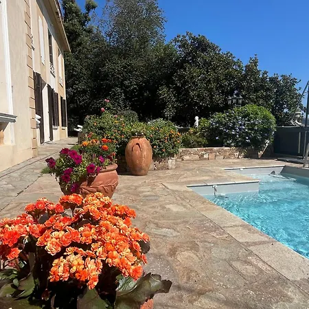 Bastia, Ds De Caractere Avec Piscine, Jacuzzi Et Vue Апартаменты Бастия