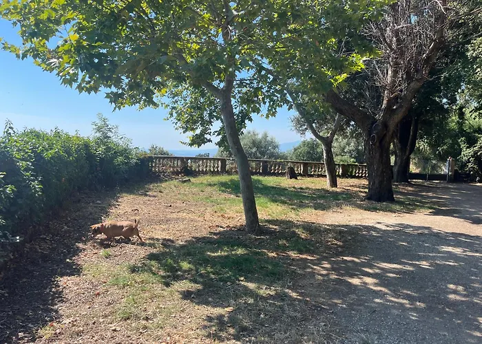 Rdc Maison De Maitre Pour 6 Personnes Avec Piscine Et Jacuzzi