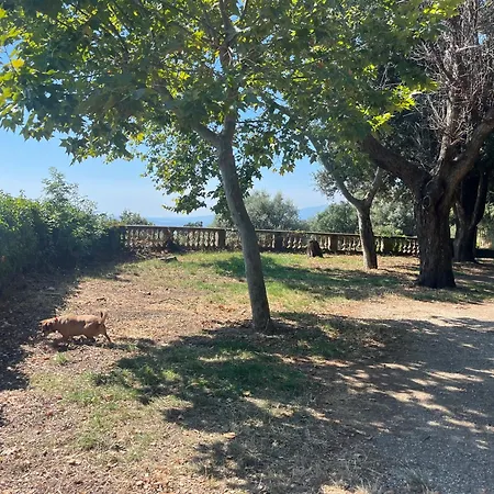 Rdc Maison De Maitre Pour 6 Personnes Avec Piscine Et Jacuzzi